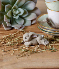 KLARBORG HARE KITTEN NINUS