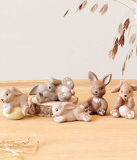 KLARBORG HARE KITTEN NAKED