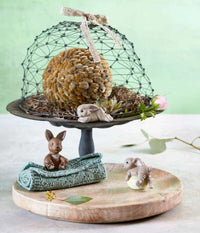 KLARBORG HARE KITTEN NAKED