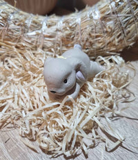 KLARBORG HARE KITTEN JAPPE - 2024