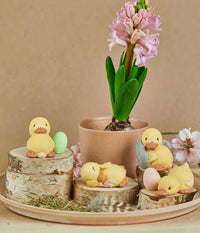 KLARBORG DUCKLING SNAP