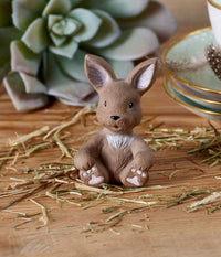 KLARBORG HARE KITTEN NAKED