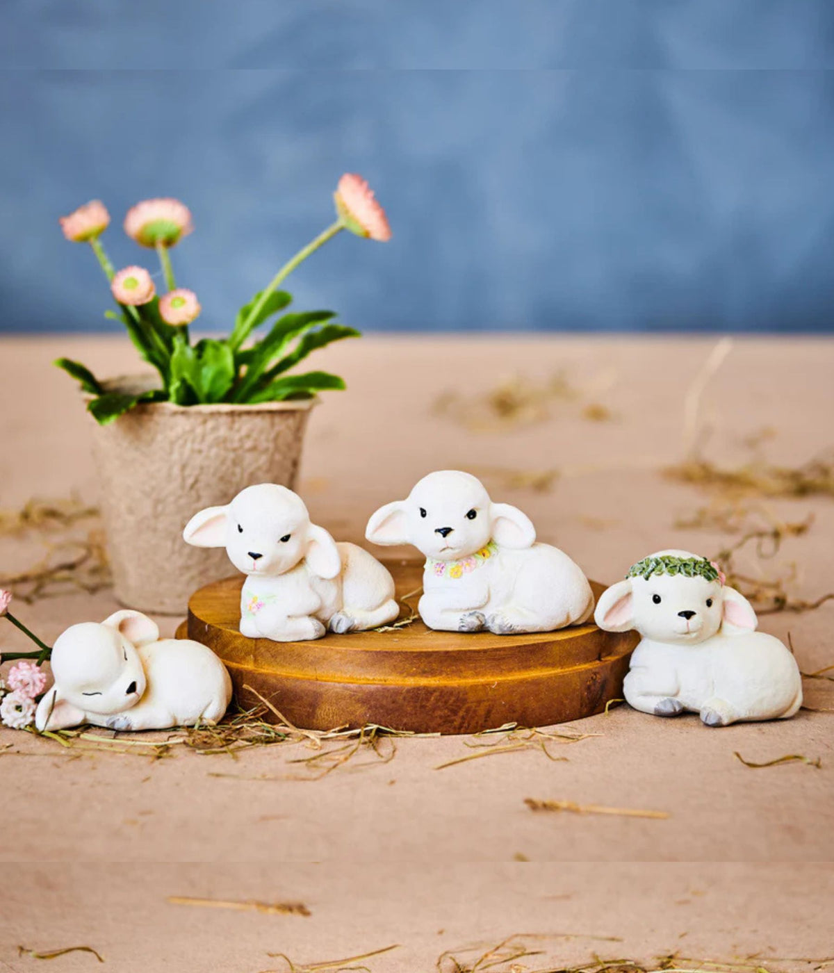 KLARBORG LAM  LIFF - 2020