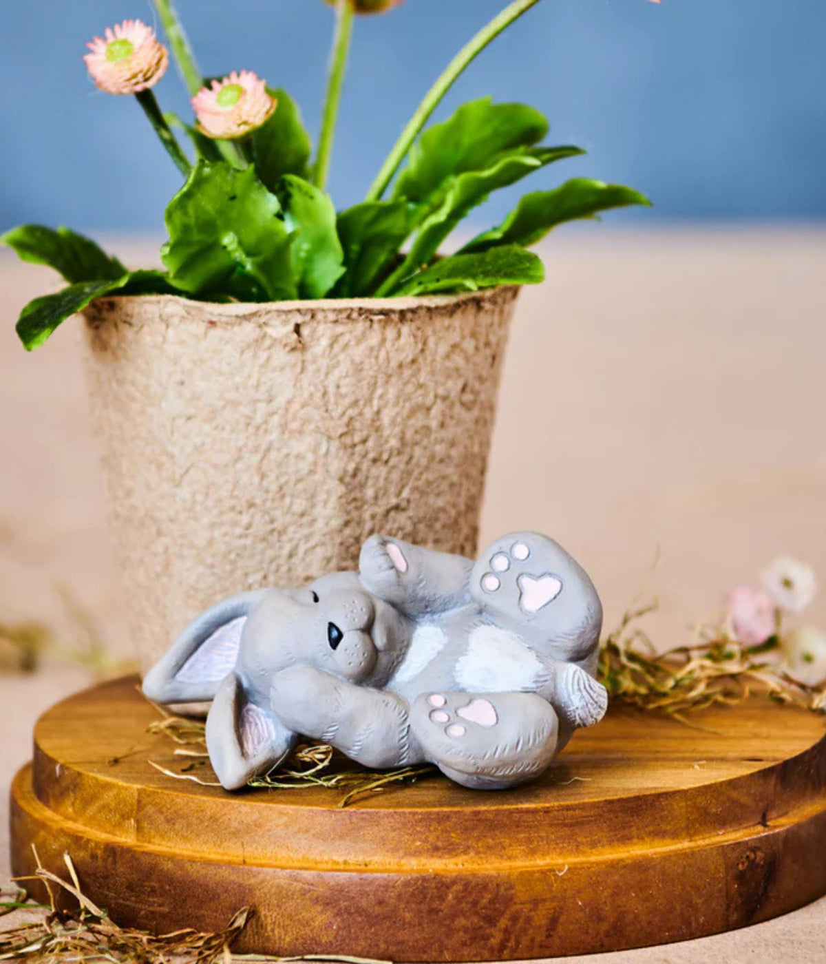 KLARBORG HARE KITTEN - HUGI - 2020