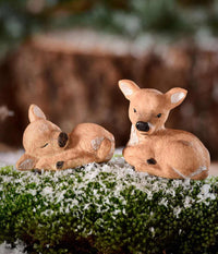 KLARBORG REINDEER CALF REINO AND ROLF - 2018