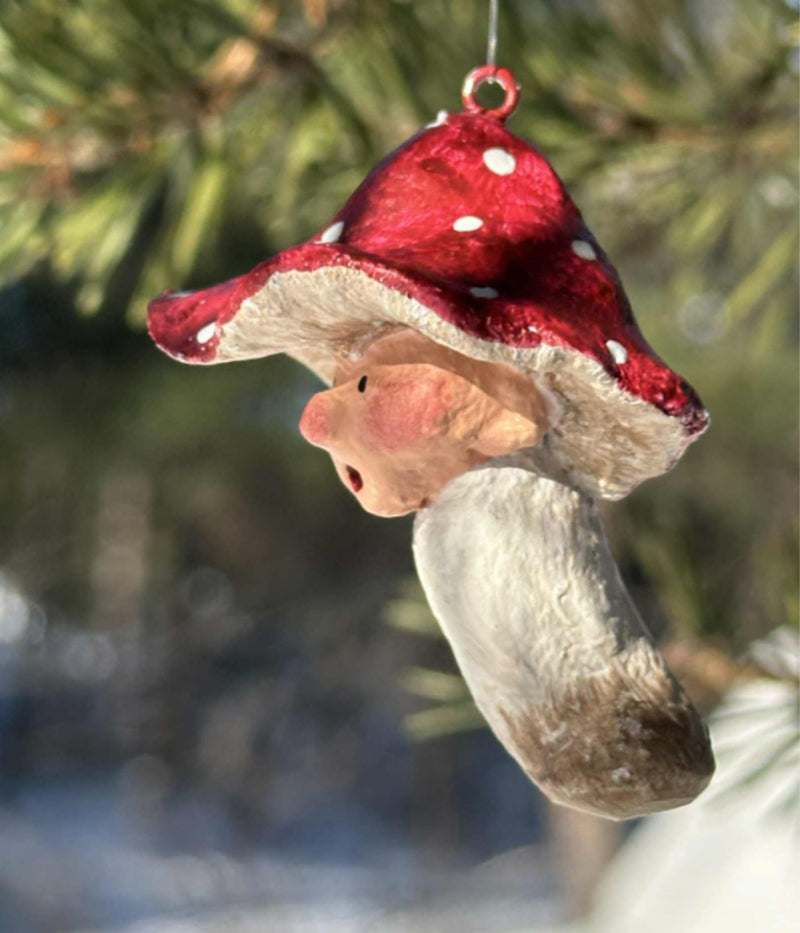 MEDUSA MUSHROOM BABIES