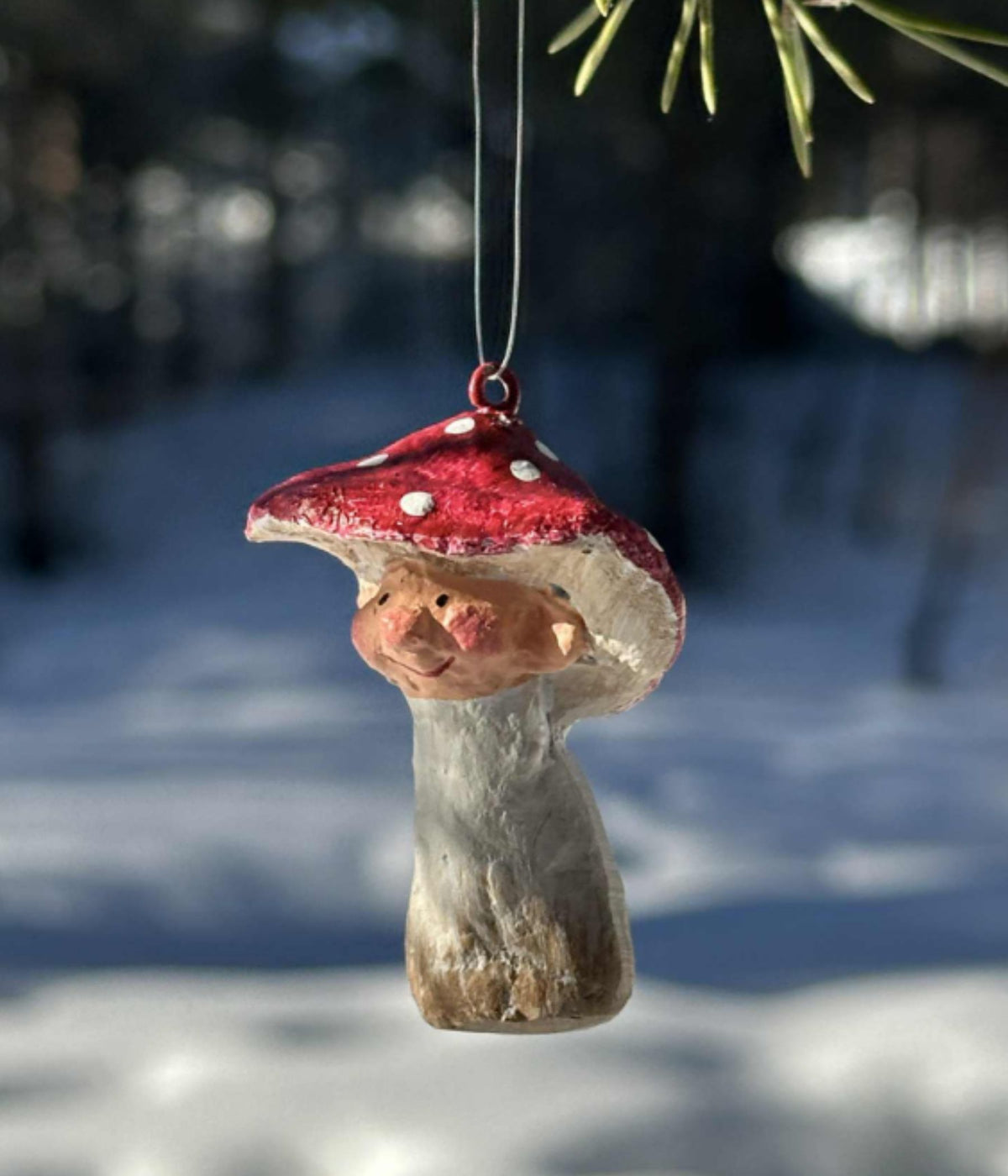 MEDUSA MUSHROOM BABIES