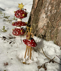 MEDUSA MINI MUSH RUDOLF