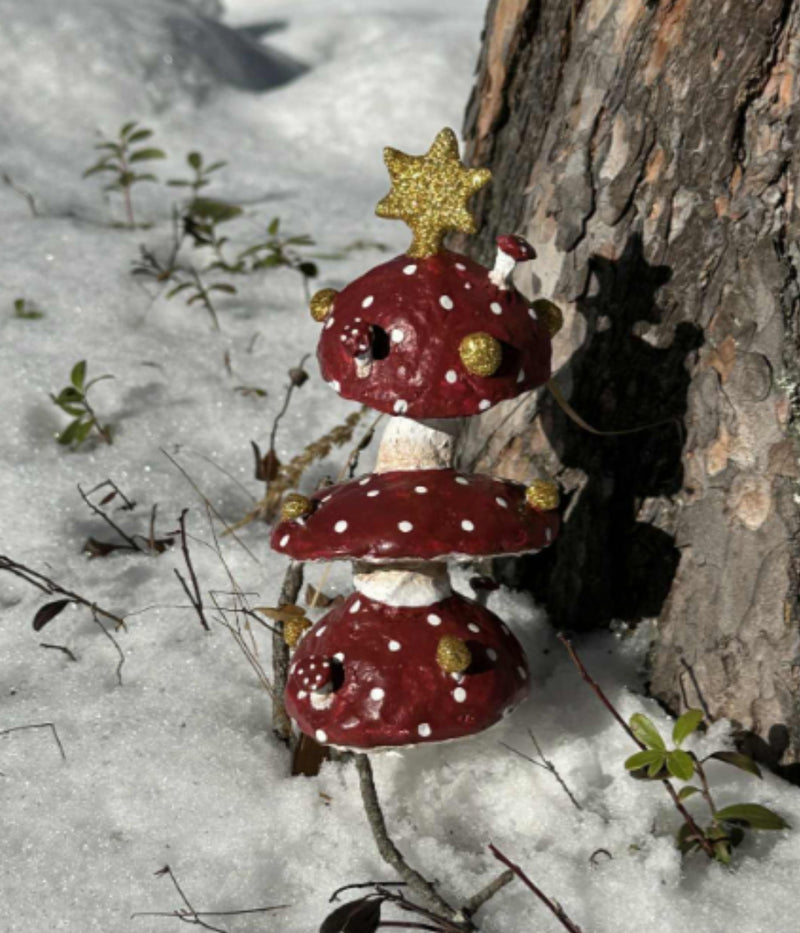 MEDUSA SVAMPETRÆET - ET MAGISK TRÆ