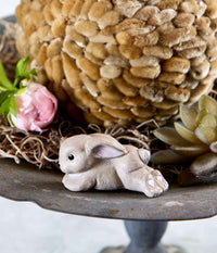KLARBORG HARE BIG NINUS - 2024